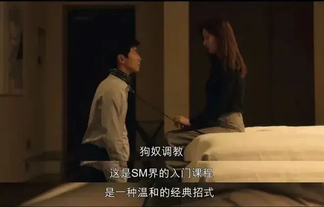 SM亚文化 - 00544