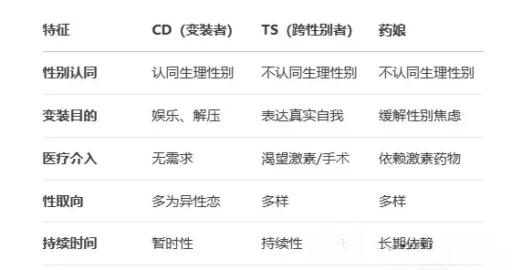 西檬之家-K8猫系是什么？BDSM中独特的猫系角色扮演指南