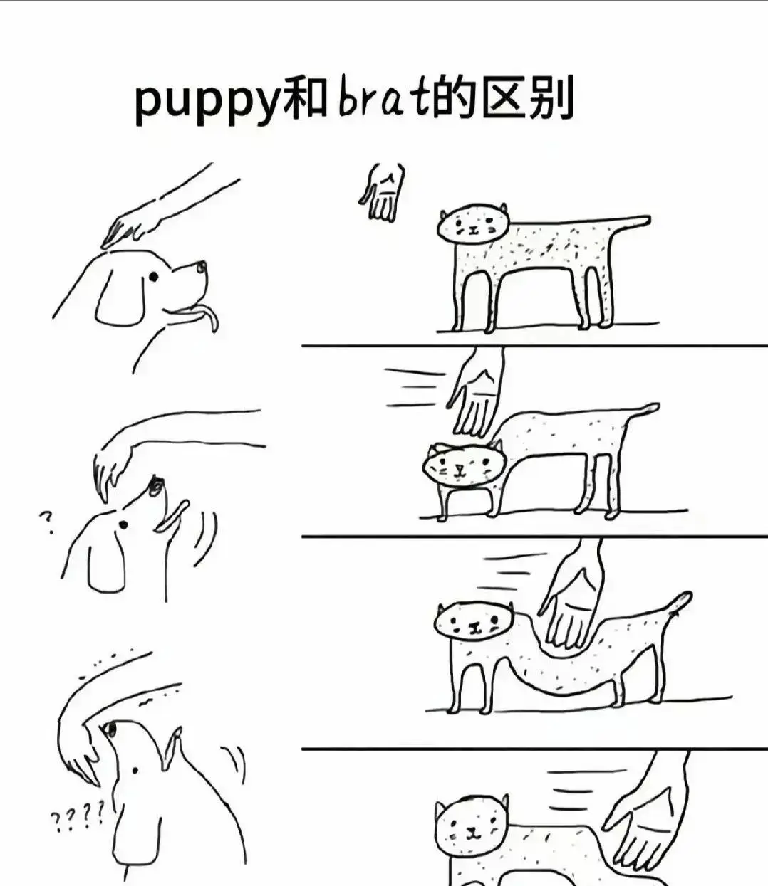 女王 - 微信图片_2025-11-13_180940_765