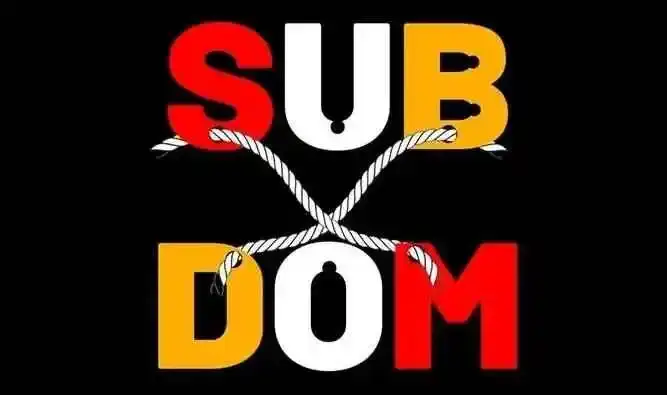 【西檬之家-字母圈新人指南：BDSM术语与安全实践】
