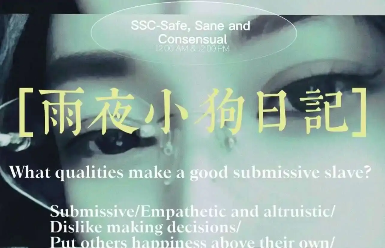 DT - 微信图片_20240708154450