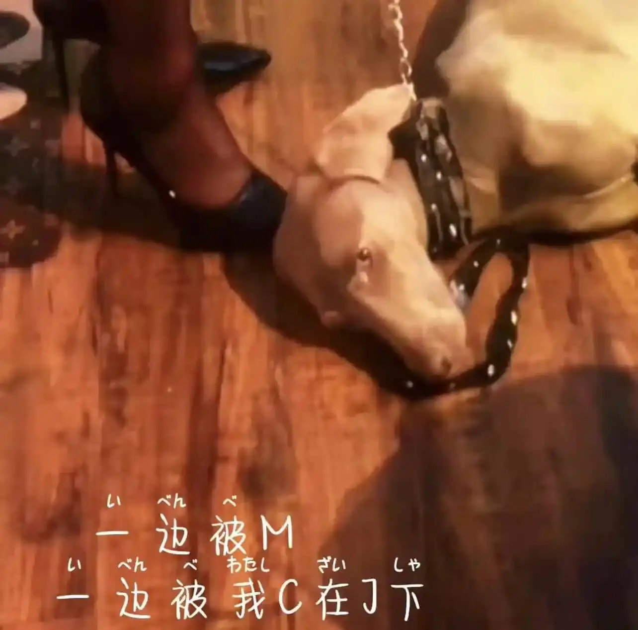西檬之家-DS关系是什么？新人入圈必备指南