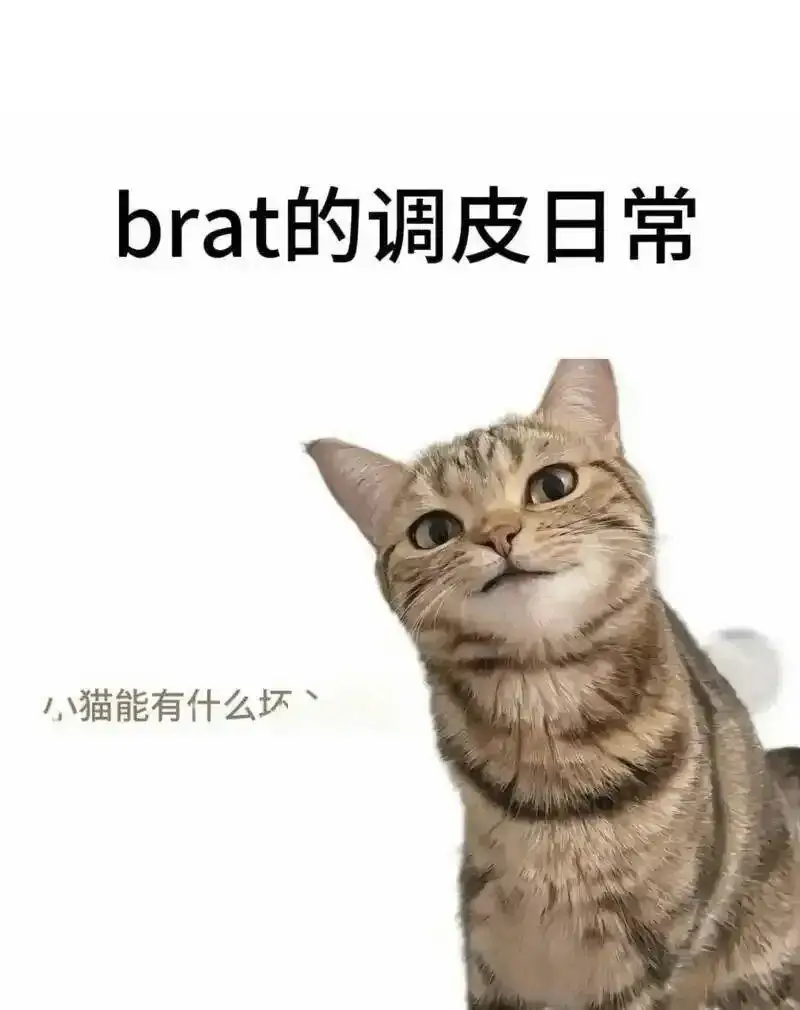 西檬之家-BDSM新人入圈指南