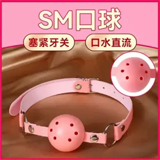 管教 - 16881