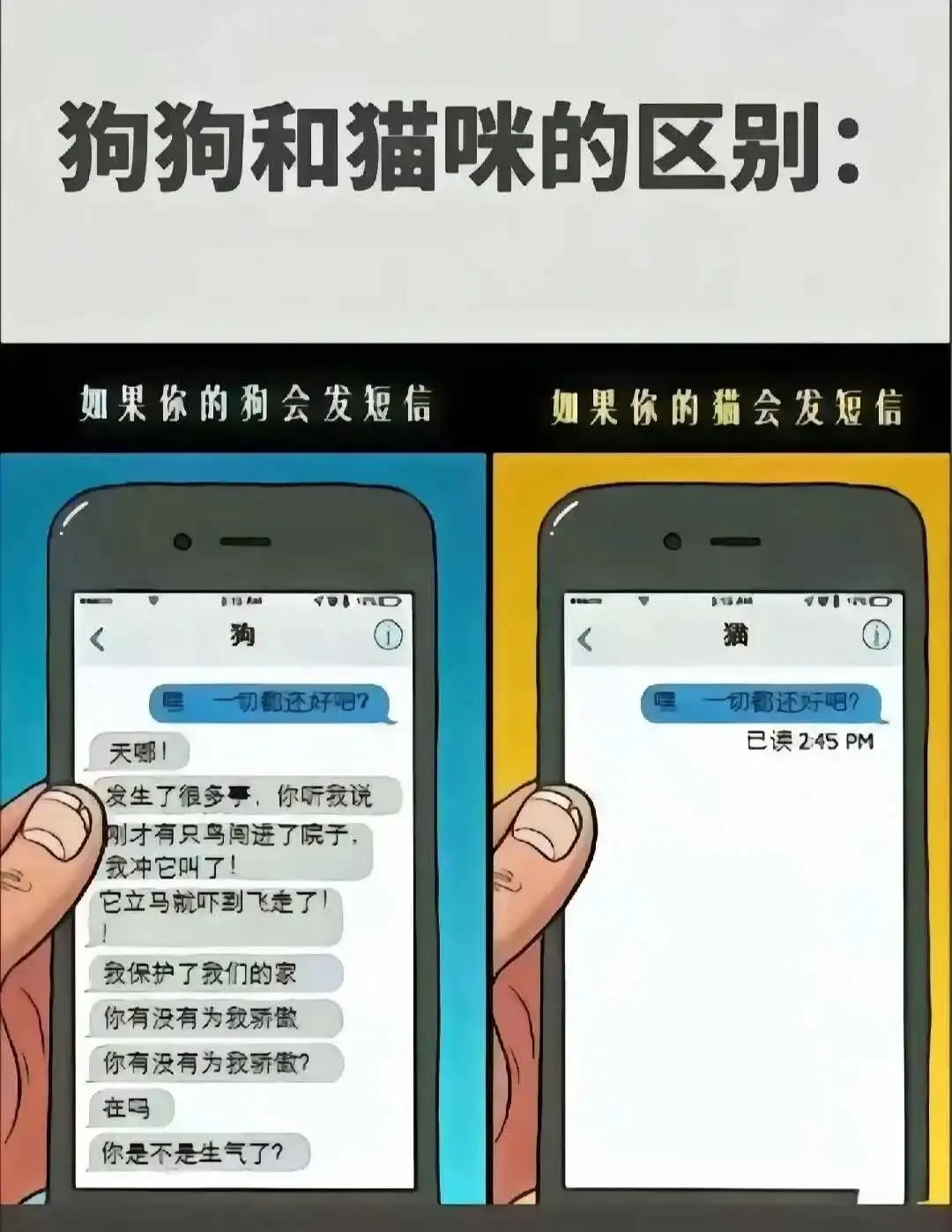 西檬之家-字母圈的BDSM是什么？新人入圈指南